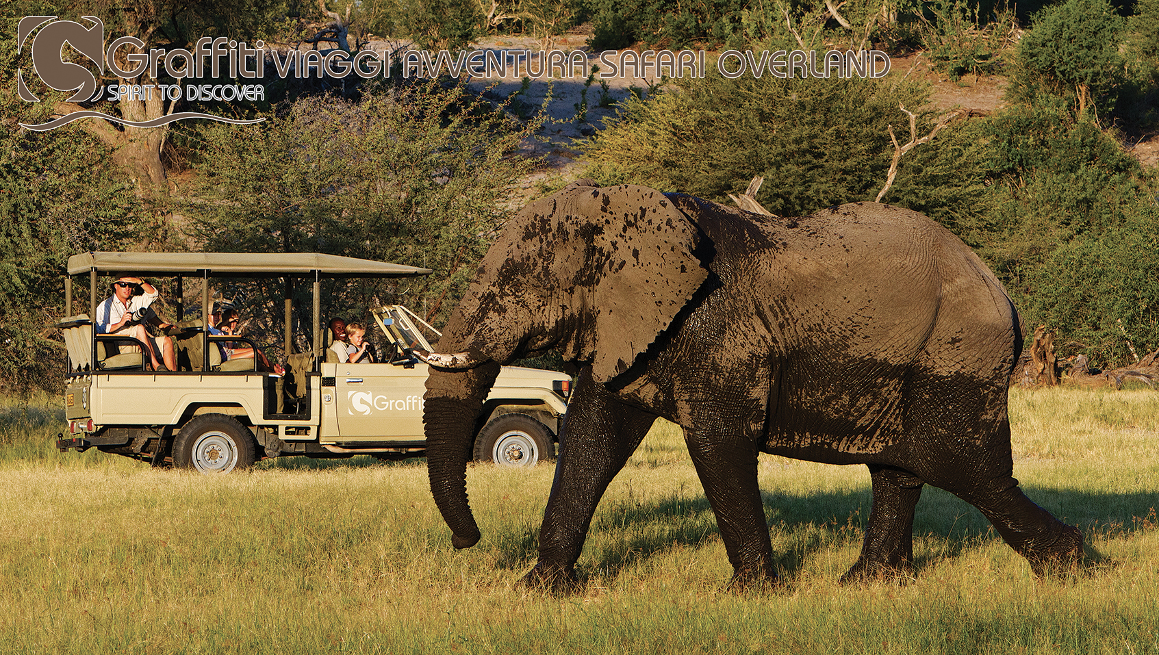 Safari Avventura - Graffiti Travel