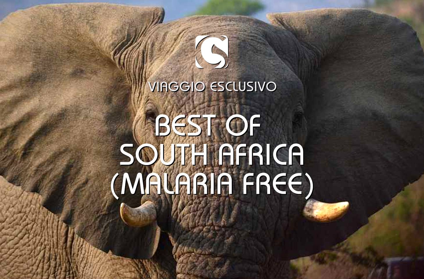 BEST OF SOUTH AFRICA (MALARIA FREE)