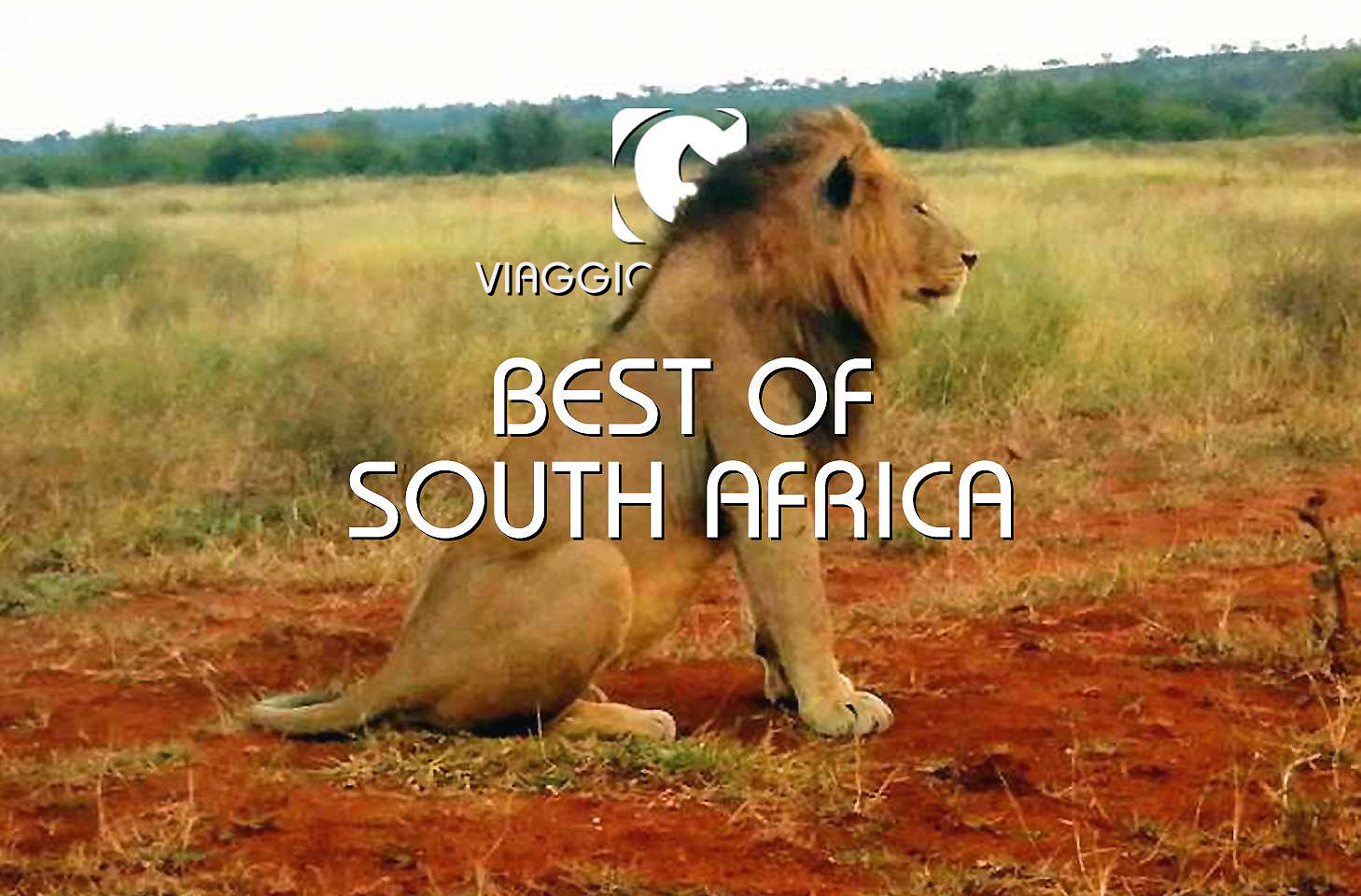 BEST OF SOUTH AFRICA