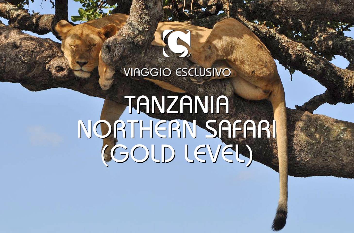 TANZANIA • NORTHERN SAFARI (GOLD LEVEL)