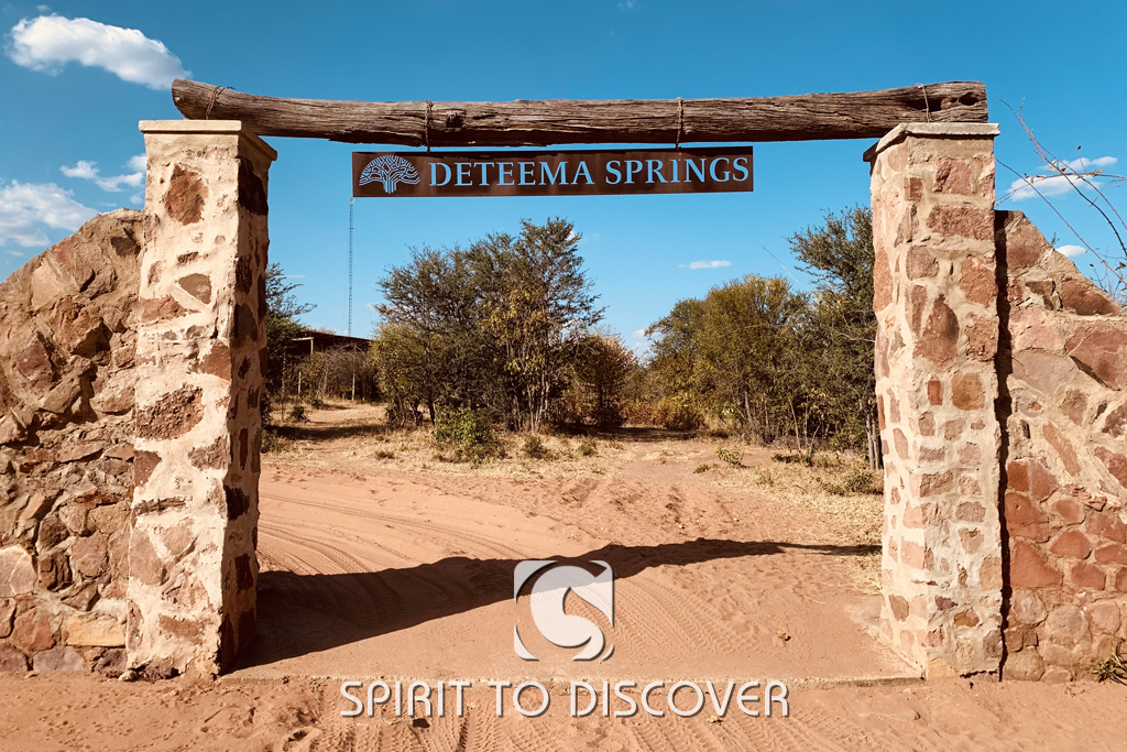 Deteema Springs • Zimbabwe