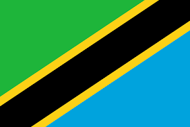 Zanzibar flag Tanzania
