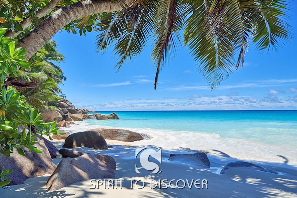 SEYCHELLES • Un gioiello da scoprire